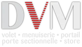 DVM (DVM)