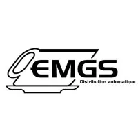 ENTREPRISE MAINTENANCE GESTION SERVICE (EMGS)