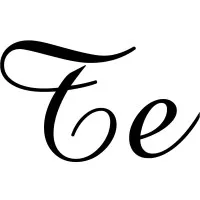 TRANS DISTRIBUTION