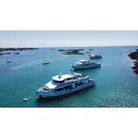 JOLIE FRANCE II