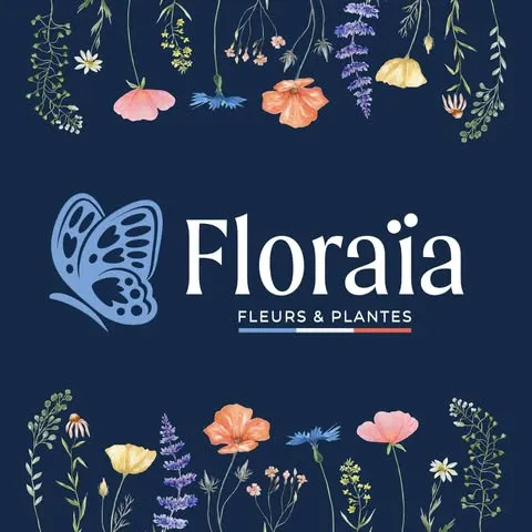 FLORIOUEST DISTRIBUTION