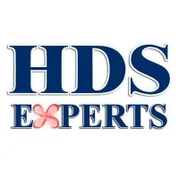HDS PEINTURES (HDS)