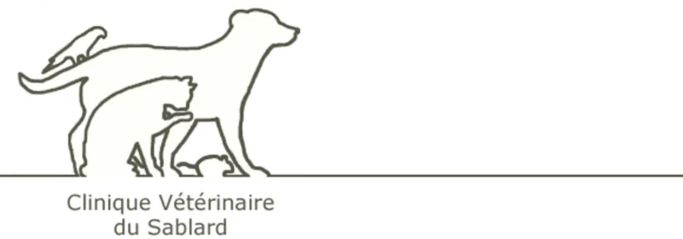 CLINIQUE VETERINAIRE DU SABLARD SCP TOMASI -VIEILLERIBIERE-CRUYPENNINCK
