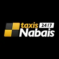 PESENTI - REYNAUD (TAXIS NABAIS - AUTONOM'CONFORT - TAXI DU PONT DU GARD)