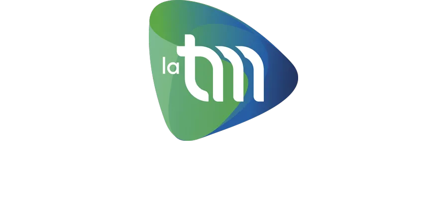 LA TELEPHONIE MULTIMEDIA