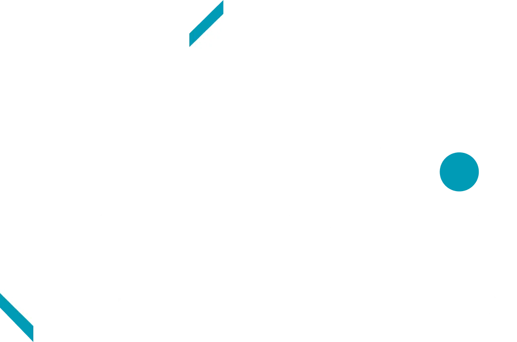 PRO BUS CARS