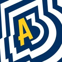 A3