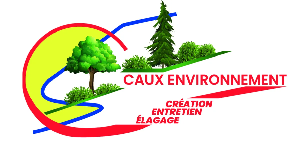 CAUX ENVIRONNEMENT