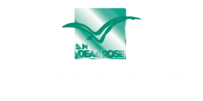 SOCIETE NOUVELLE IDEAL POSE (SNIP)
