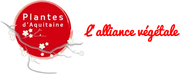 EARL PEPINIERES SCRIVE