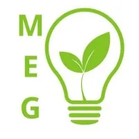 MEG