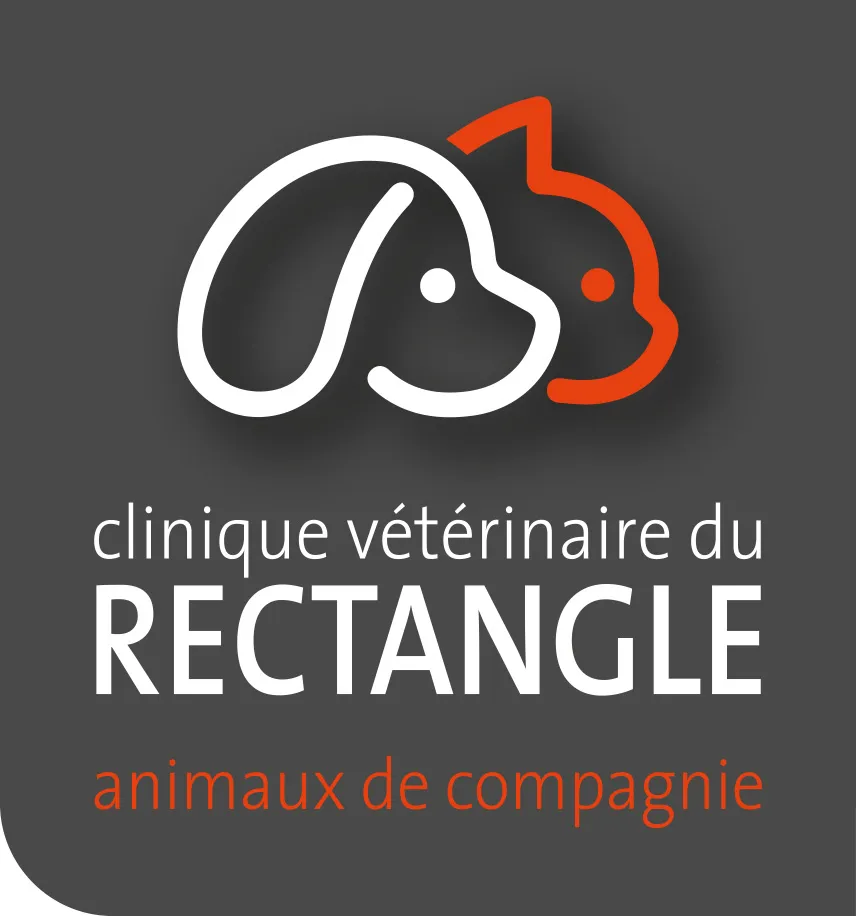 SELARL DU RECTANGLE