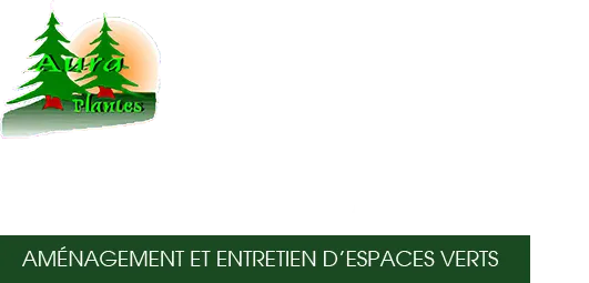 SARL AURA PLANTES (AURA PLANTES)