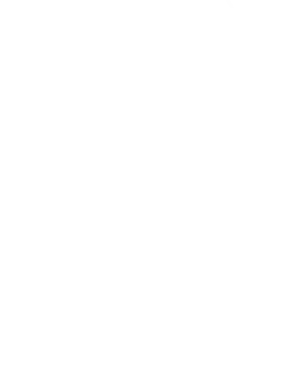 FORESTIERE PIERRE NICOLAS