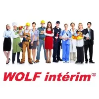 WOLF INTERIM NORD ALSACE