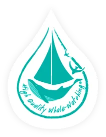 SOCIETE MARITIME SANARYENNE
