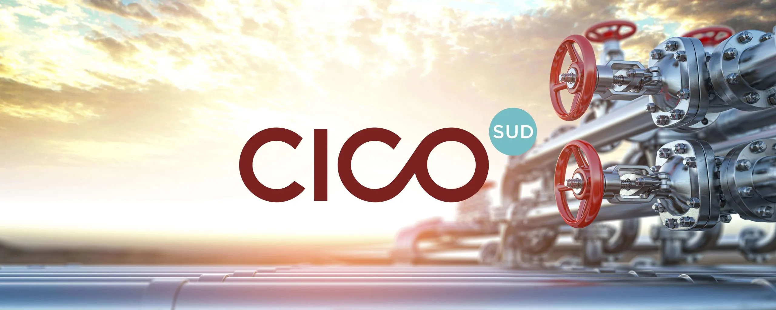 SOC TRAVAUX INDUSTRIELS CICO SUD