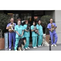 SCP DOCT VETERINAIRES DUBREUIL ELBAZ