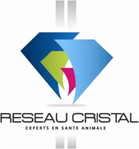MC VET CONSEIL