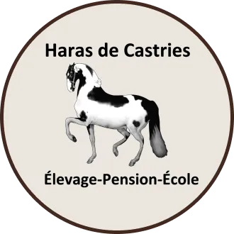 GRIMAUD CAROLINE (HARZS DE CASTRIES)
