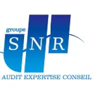 SNR AUDIT