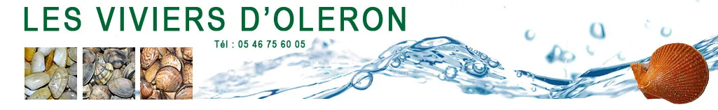 LES VIVIERS D'OLERON