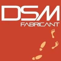 DIFFUSION SOL MUR (DSM)
