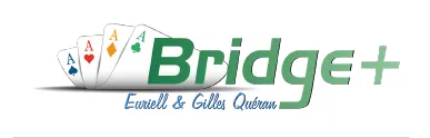 BRIDGE +