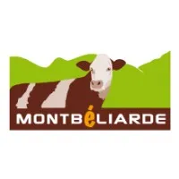 MONTBELIARDE ASSOCIATION (OS MONTBELIARDE)