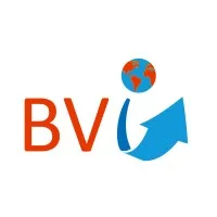 B.V. INTERNATIONAL