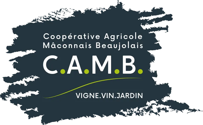 MACONNAIS-BEAUJOLAIS