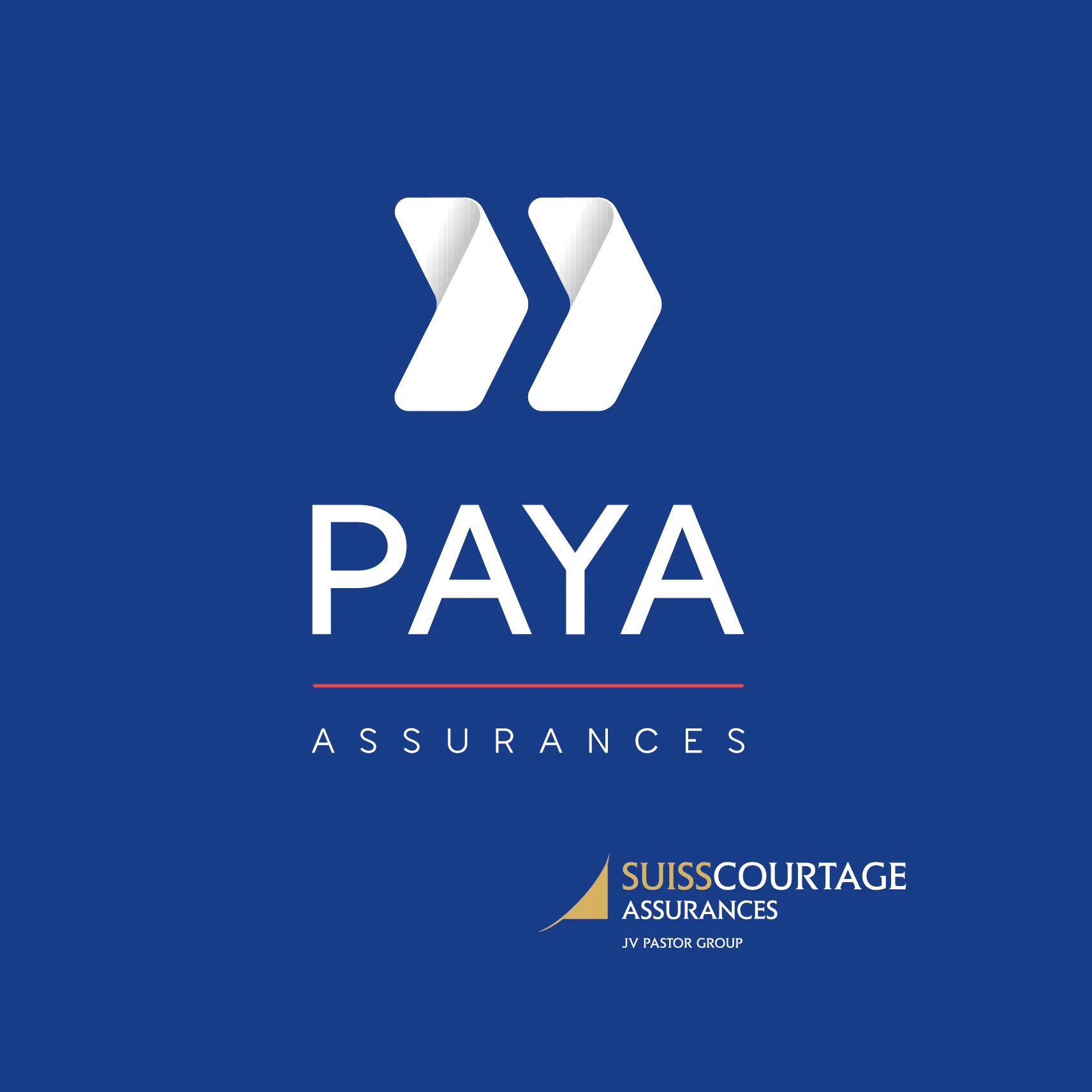 PIERRE PAYA ASSURANCES