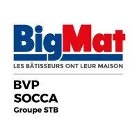 BUSCA DISTRIBUTION (BVP)