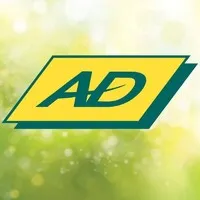 AVENIR DECONSTRUCTION