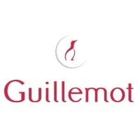 GUILLEMOT CORPORATION