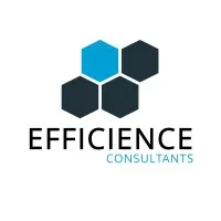 EFFICIENCE AUDIT