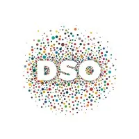 DEREPAS SASSO ORGANISATION (DSO)