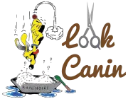 LOOK CANIN