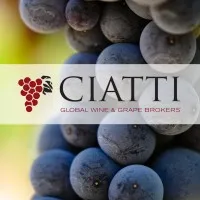 CIATTI EUROPE