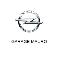 M.S.A.GARAGE MAURO (GARAGE MAURO)