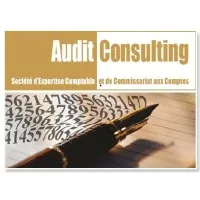 AUDIT CONSULTING