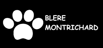SOCIETE D'EXERCICE LIBERAL DE VETERINAIRES YVAN COCHIN - LAURE REYNAUD - AGATHE CHAUVIGNE