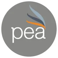 PATRIMOINE ENTREPRISE ET AUDIT (PEA)