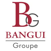 TAPIS FRANCOIS ENTREPRISE (Bangui groupe)