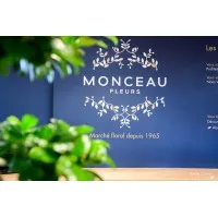 MONCEAU FLEURS DEVELOPPEMENT