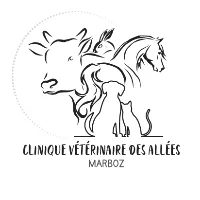 CLINIQUE VETERINAIRE DES ALLEES