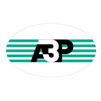 A3P HOLDING