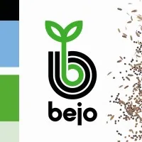 GIE BEJO