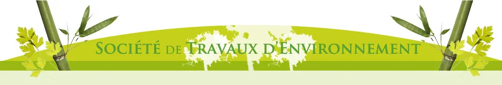 SOCIETE DE TRAVAUX DE L ENVIRONNEMENT