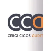 CERGI CIGOS AUDIT